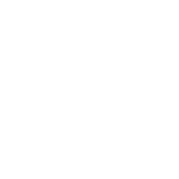 Lucenera